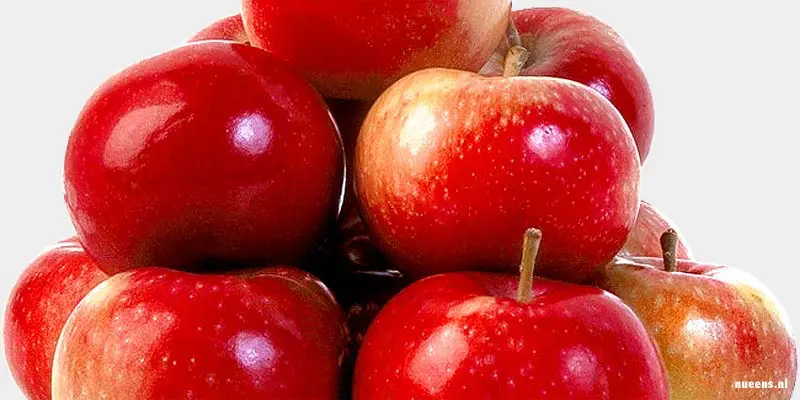 Na Adam en Eva is het verhaal van Willem Tell het bekendste appel verhaal