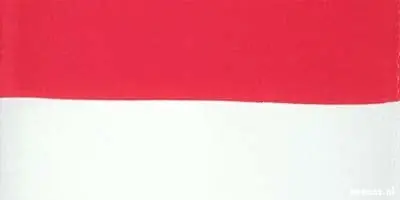 De vlag van Indonesië