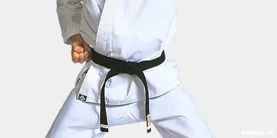 Een judoka