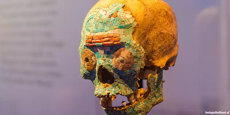 Mixteekse schedel in Museum Volkenkunde in Leiden
