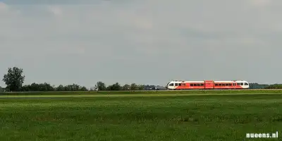 Dassen leggen treinverkeer plat
